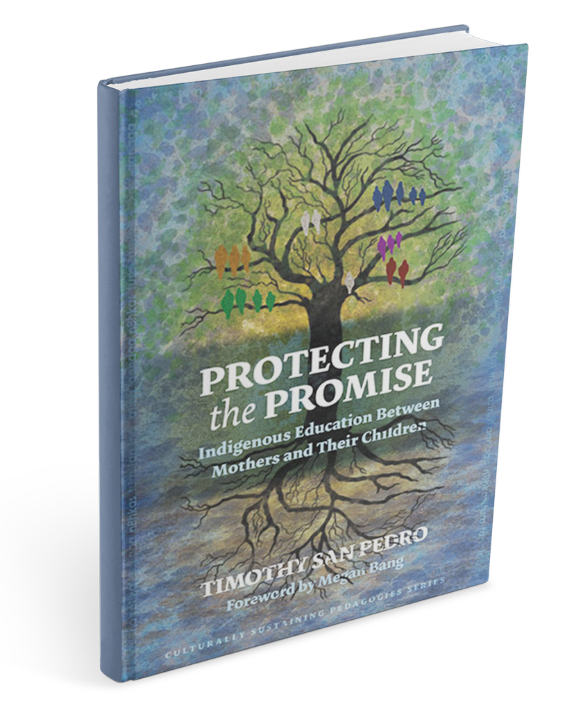 Mockup of the book Protecting the Promise